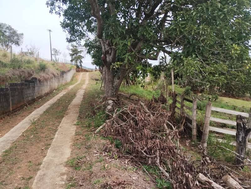 Prédio Inteiro - Foto 35