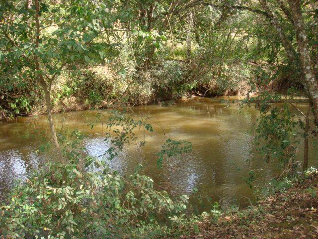 Chácara, 2 quartos, 5000 m² - Foto 27