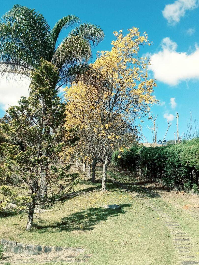 Chácara, 2 quartos, 5000 m² - Foto 28