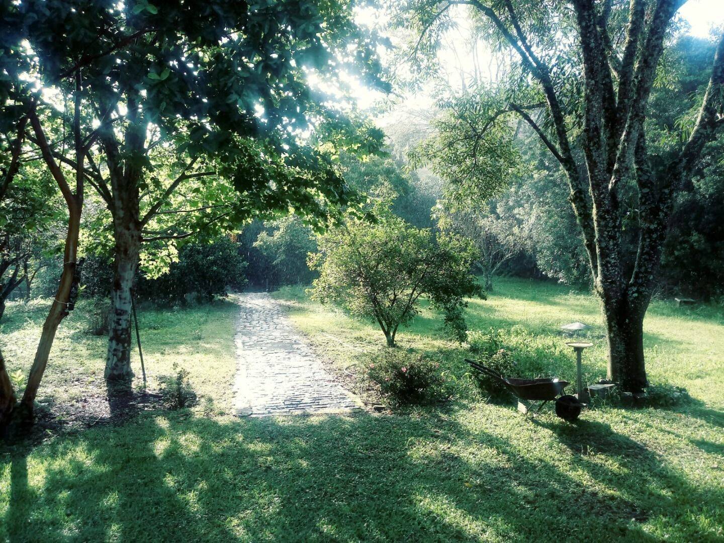 Chácara, 2 quartos, 5000 m² - Foto 29