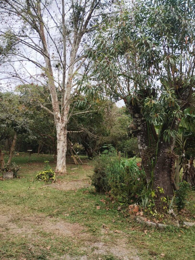 Chácara, 2 quartos, 5000 m² - Foto 32