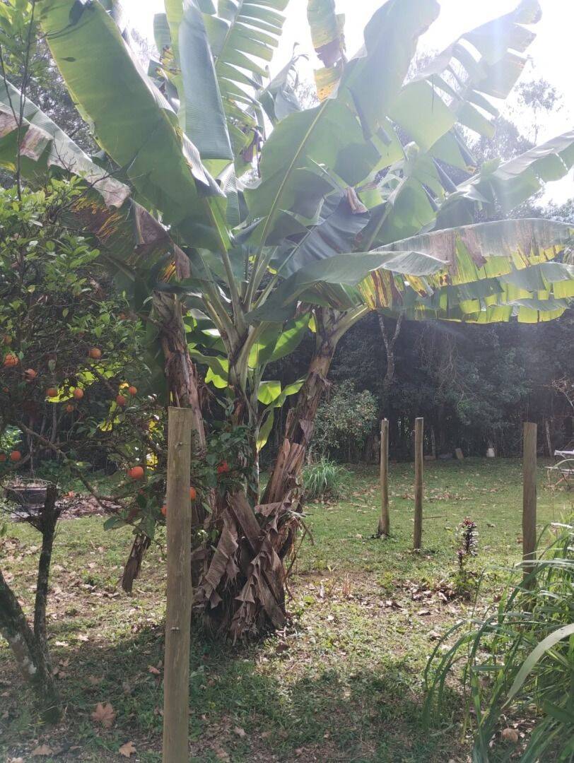 Chácara, 2 quartos, 5000 m² - Foto 41