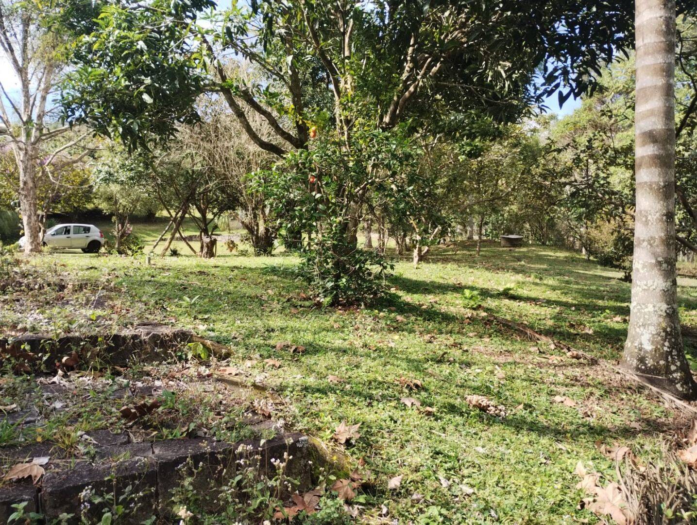 Chácara, 2 quartos, 5000 m² - Foto 43