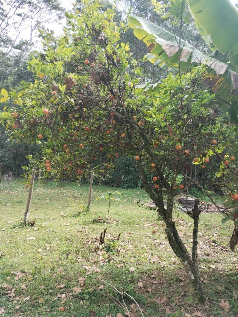 Chácara, 2 quartos, 5000 m² - Foto 45