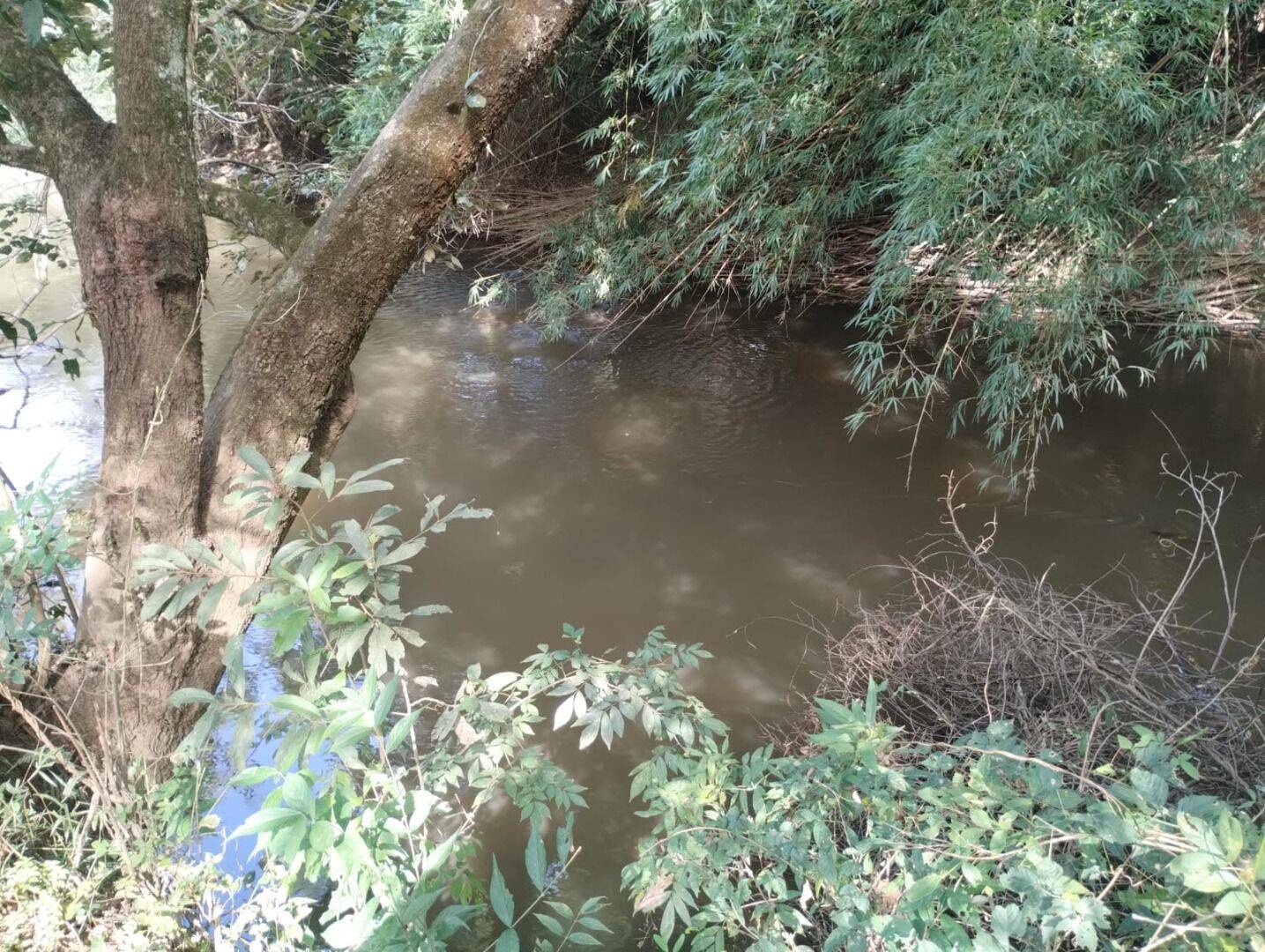 Chácara, 2 quartos, 5000 m² - Foto 46