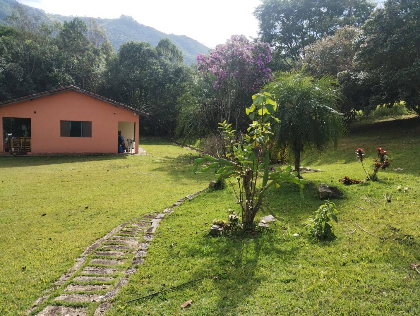 Sítio, 2 quartos, 5000 m² - Foto 3