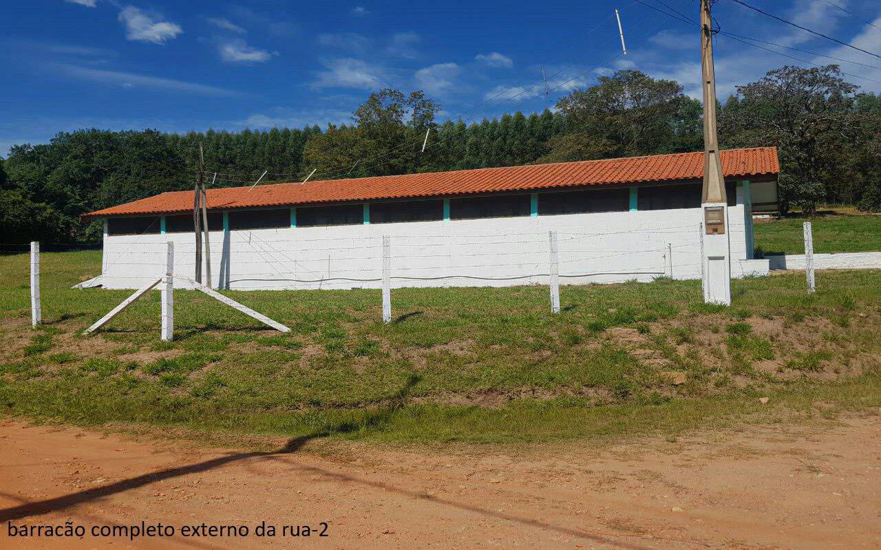 Sítio, 7 quartos, 2 hectares - Foto 6