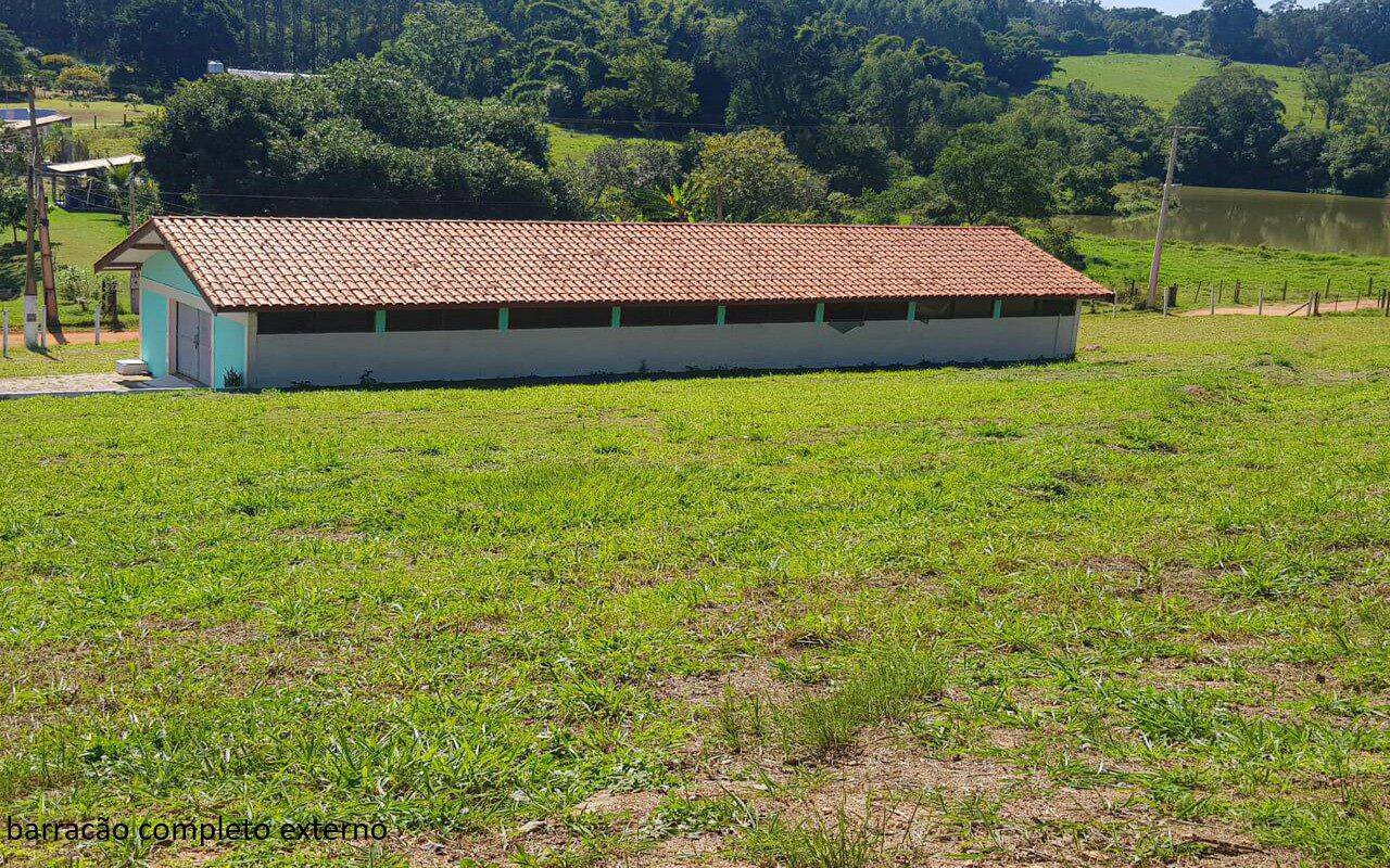 Sítio, 7 quartos, 2 hectares - Foto 7