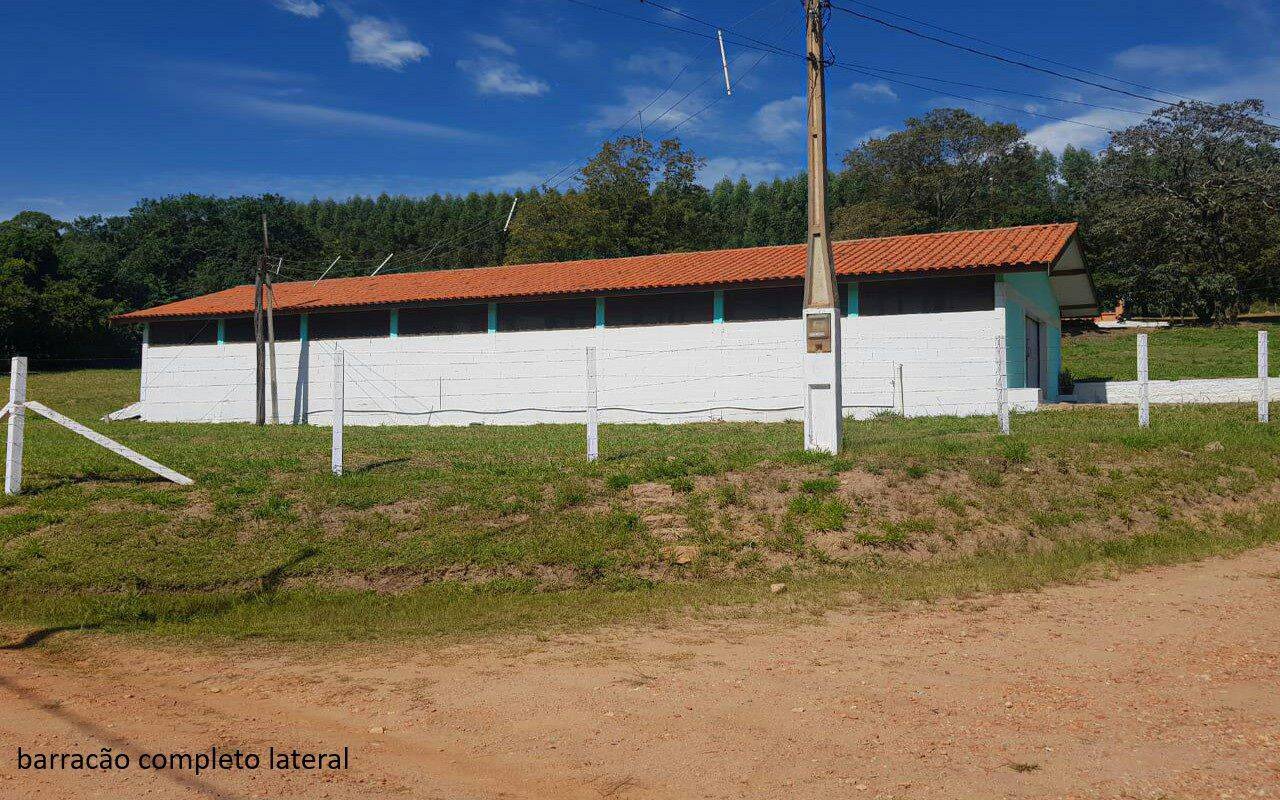 Sítio, 7 quartos, 2 hectares - Foto 9