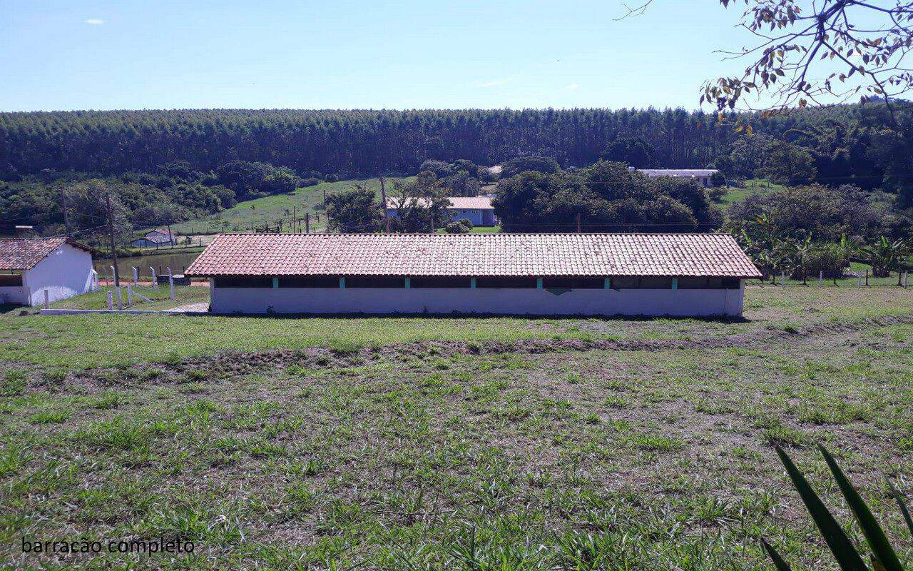 Sítio, 7 quartos, 2 hectares - Foto 10