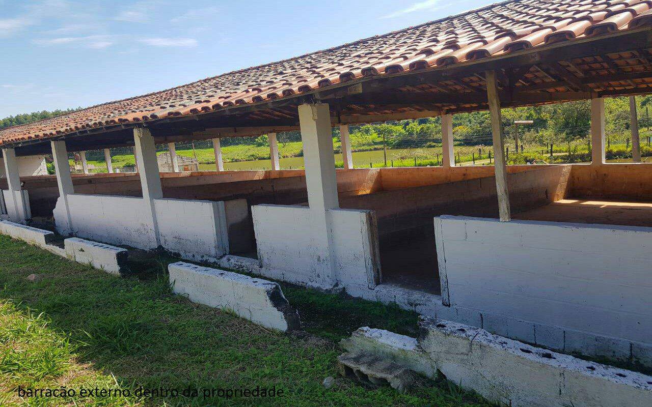 Sítio, 7 quartos, 2 hectares - Foto 12