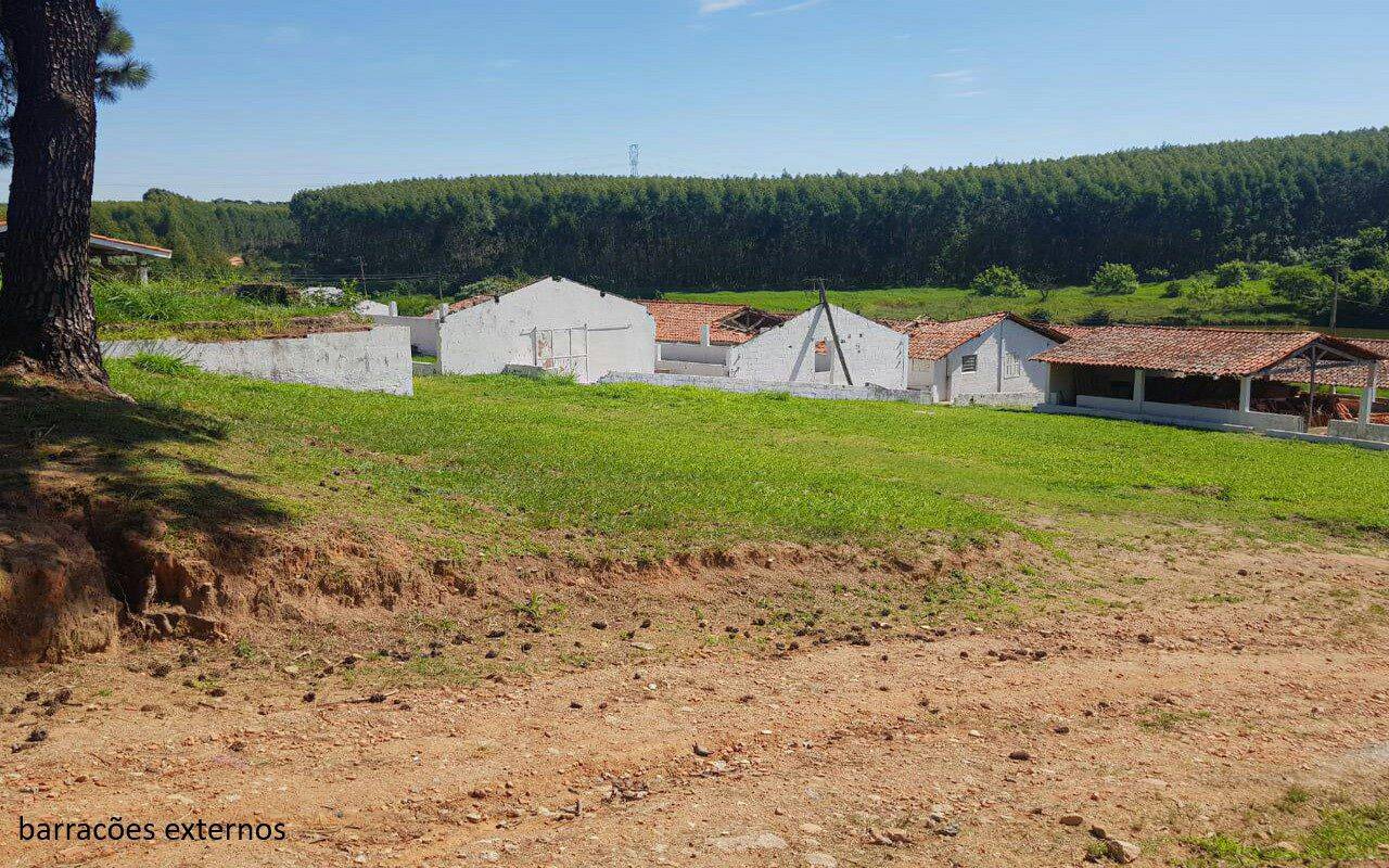 Sítio, 7 quartos, 2 hectares - Foto 18