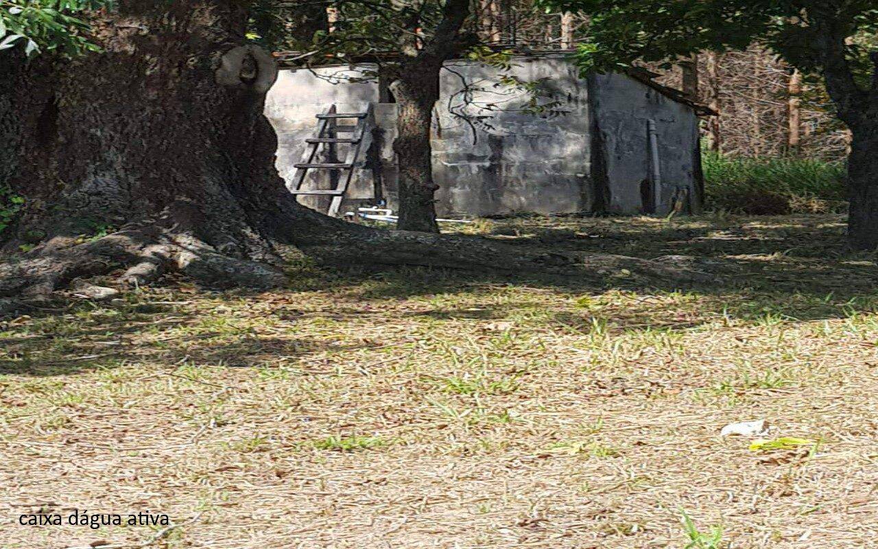 Sítio, 7 quartos, 2 hectares - Foto 22