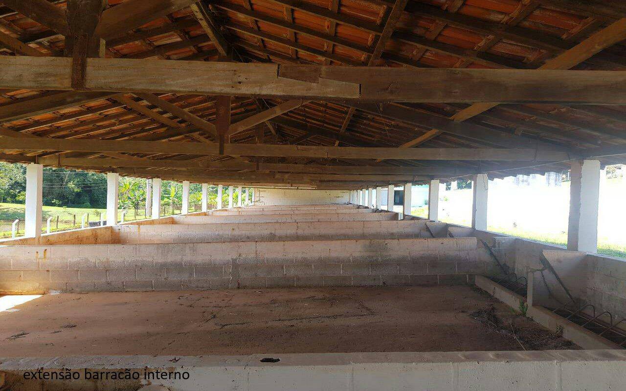 Sítio, 7 quartos, 2 hectares - Foto 38