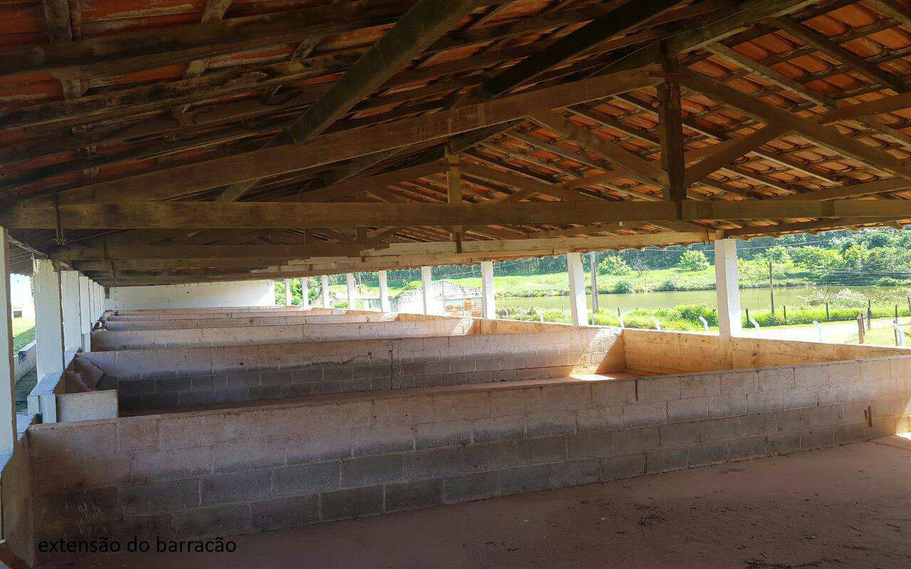 Sítio, 7 quartos, 2 hectares - Foto 39