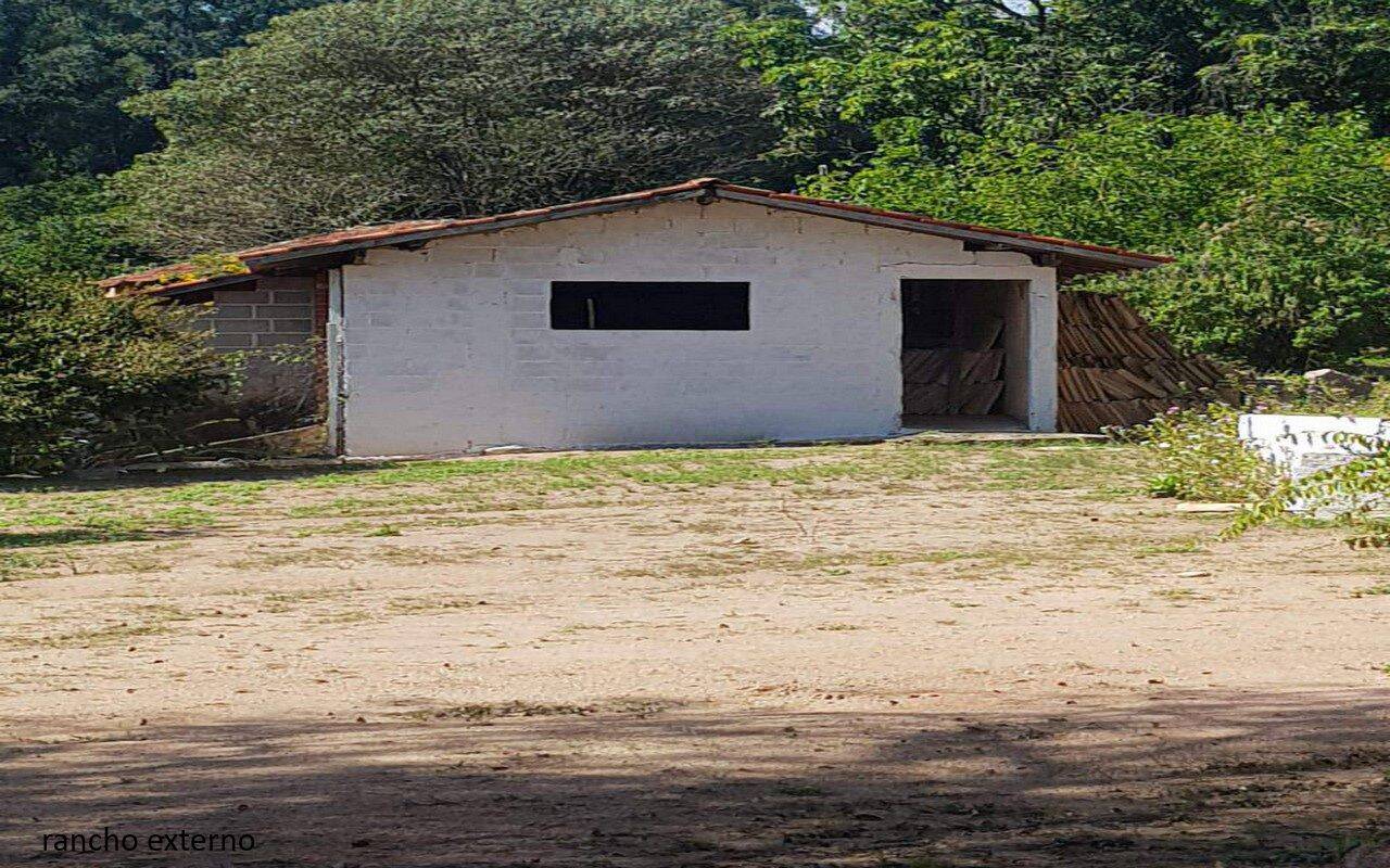 Sítio, 7 quartos, 2 hectares - Foto 51