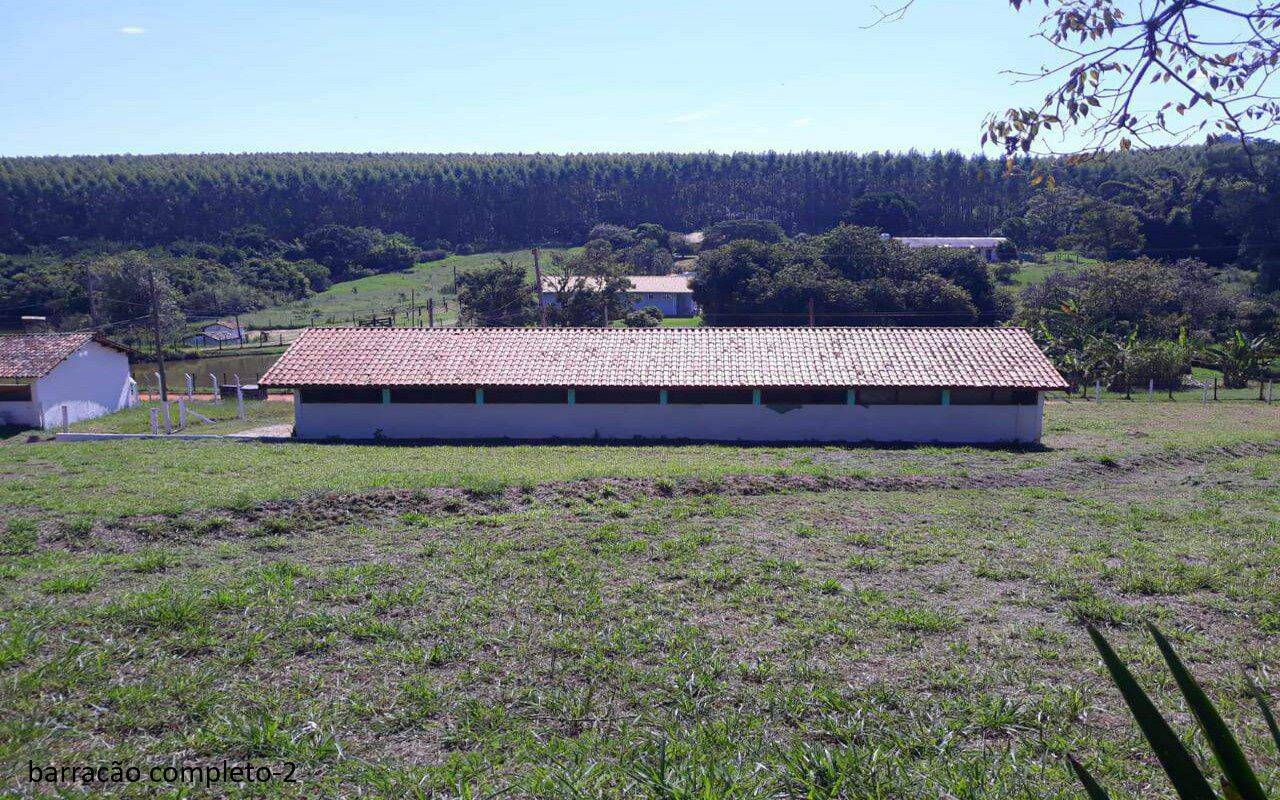 Sítio, 7 quartos, 2 hectares - Foto 55