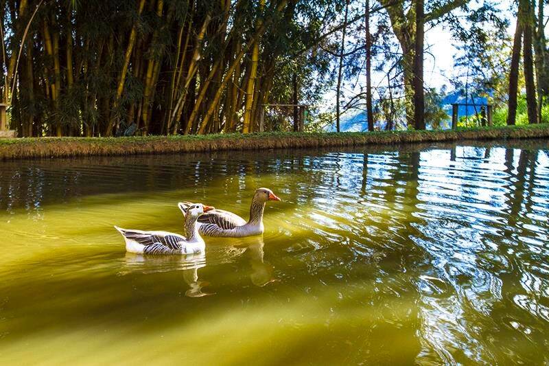 Prédio Inteiro, 1000 m² - Foto 13