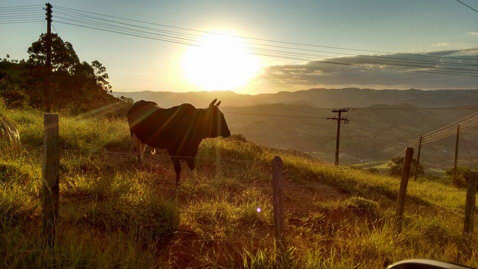 Prédio Inteiro, 1000 m² - Foto 18