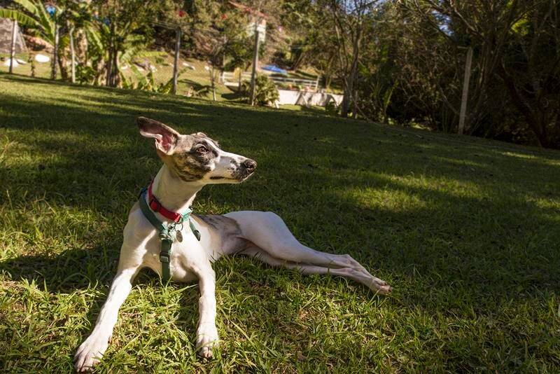 Prédio Inteiro, 1000 m² - Foto 20