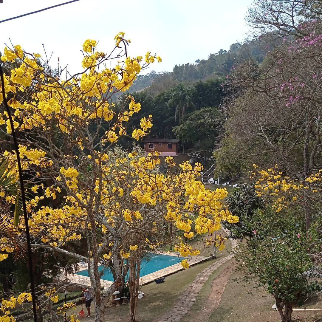 Prédio Inteiro, 1000 m² - Foto 22