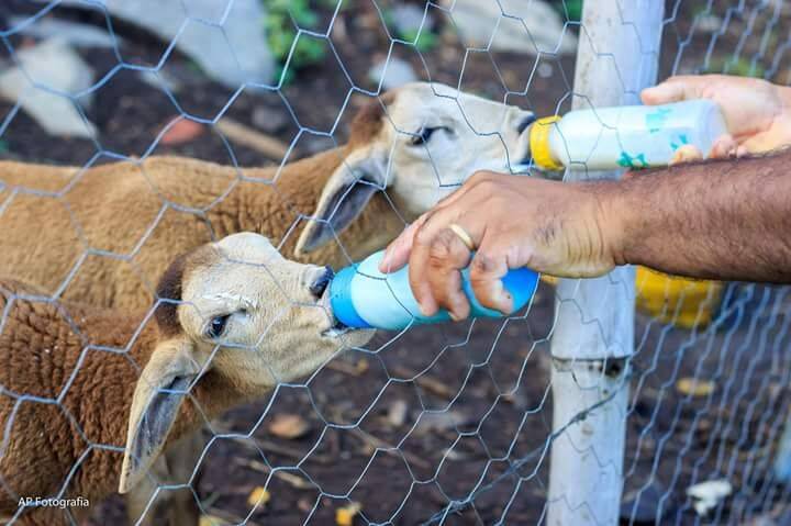 Prédio Inteiro, 1000 m² - Foto 40