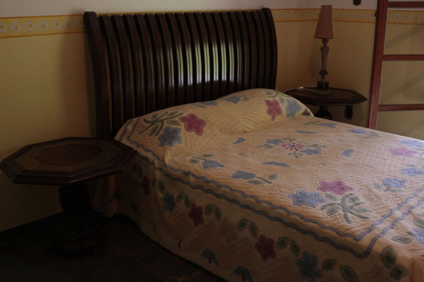 Sítio, 19 quartos, 9 hectares - Foto 43