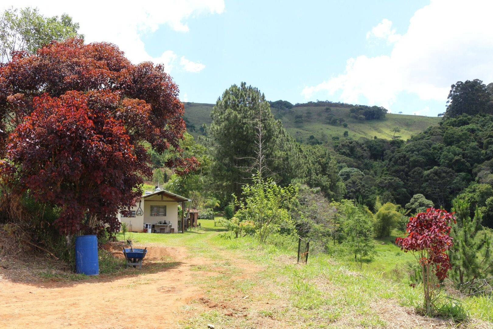 Sítio, 19 quartos, 9 hectares - Foto 145