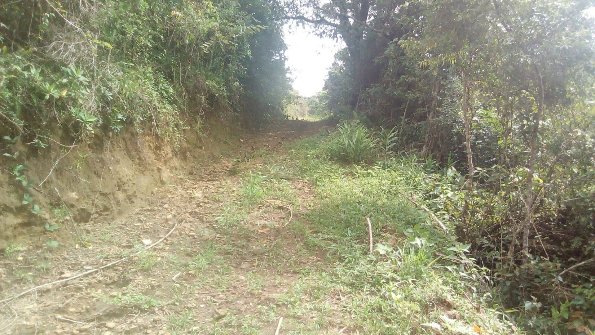 Sítio, 19 quartos, 9 hectares - Foto 190