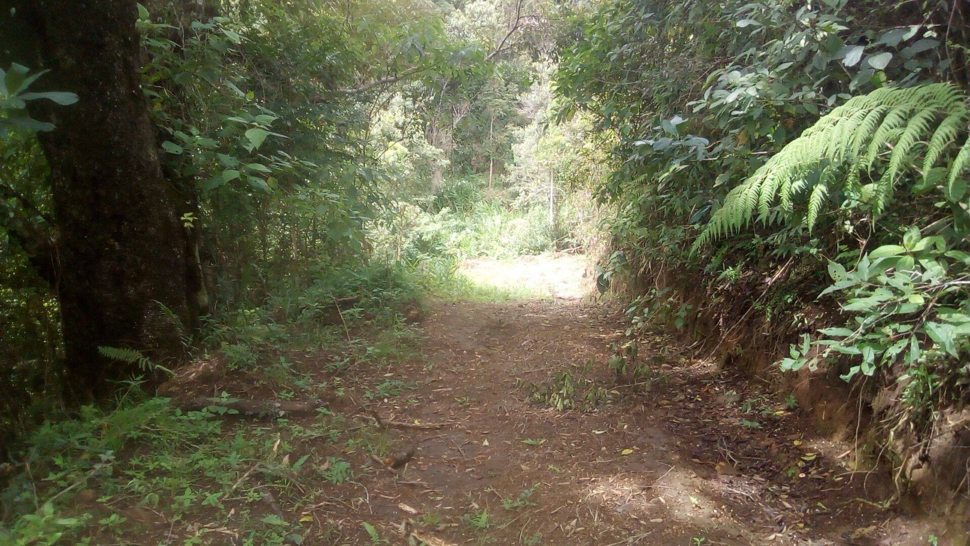 Sítio, 19 quartos, 9 hectares - Foto 191