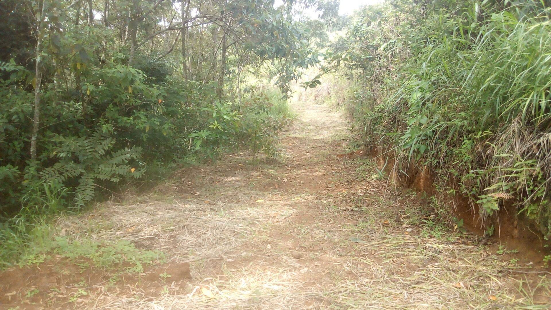 Sítio, 19 quartos, 9 hectares - Foto 193