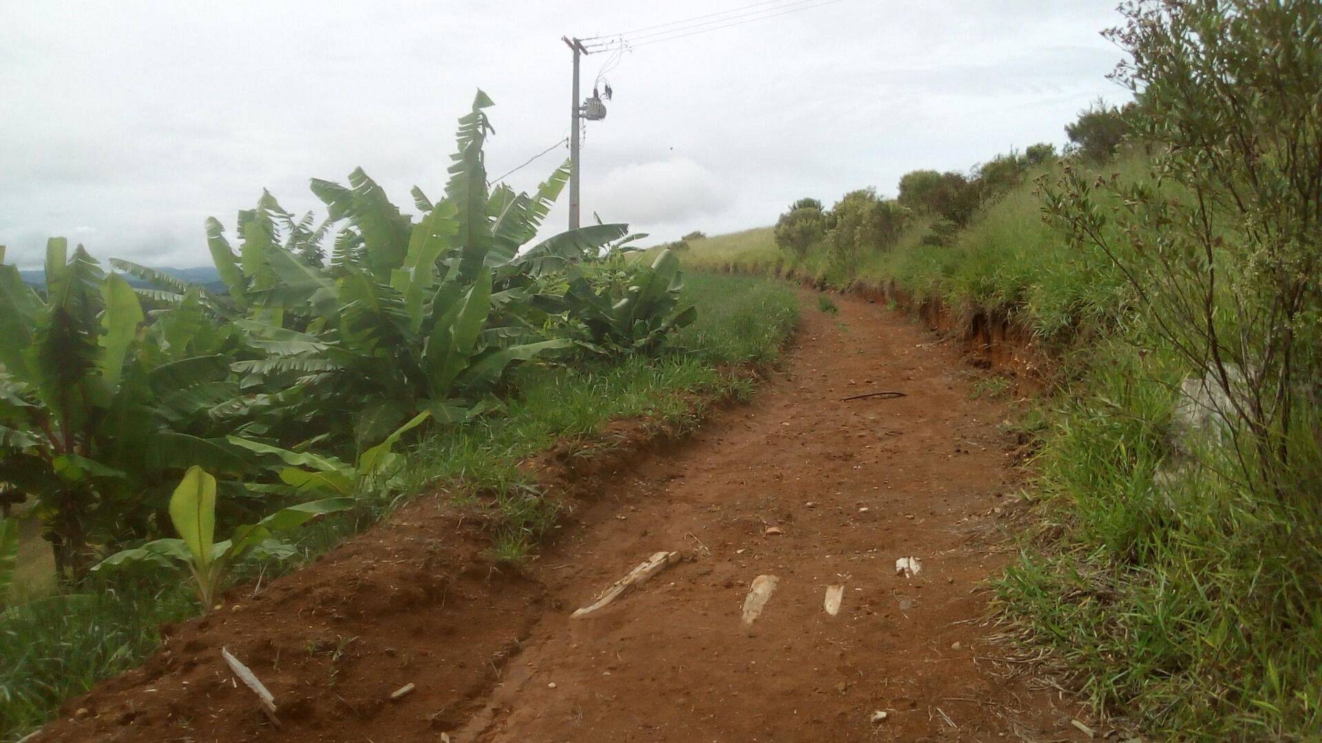 Sítio, 19 quartos, 9 hectares - Foto 197