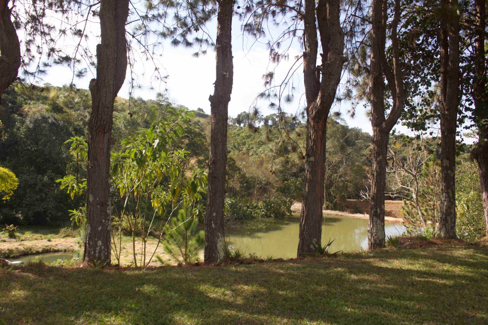 Sítio, 19 quartos, 9 hectares - Foto 200