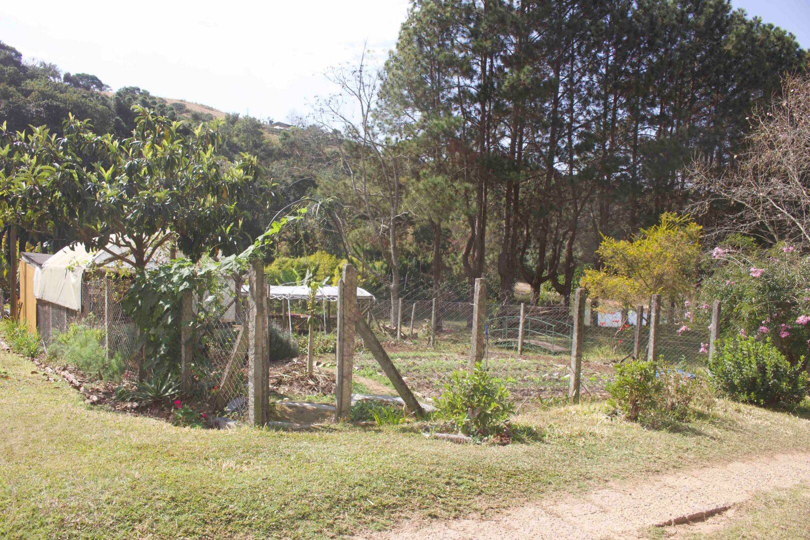 Sítio, 19 quartos, 9 hectares - Foto 205