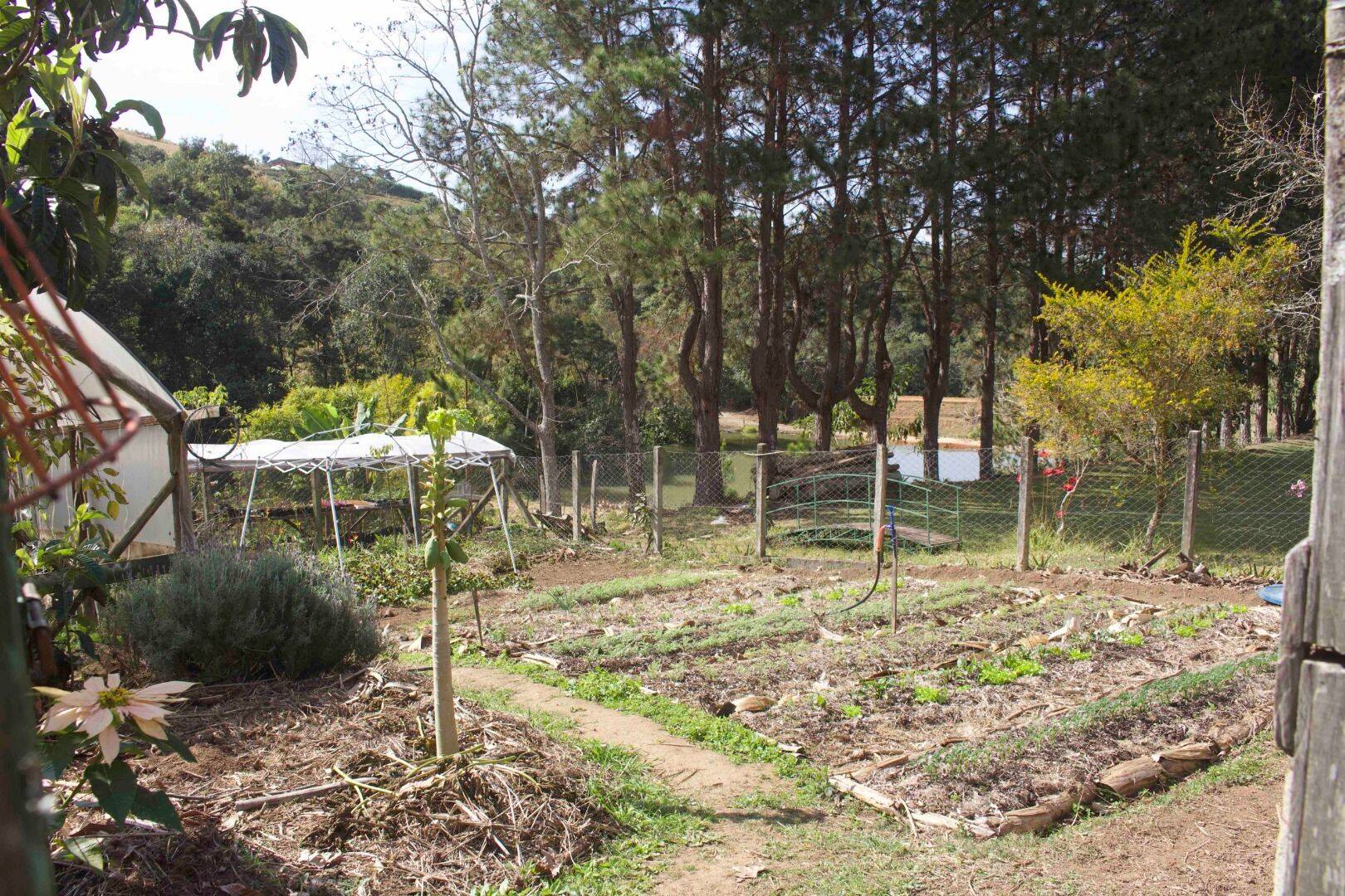 Sítio, 19 quartos, 9 hectares - Foto 206