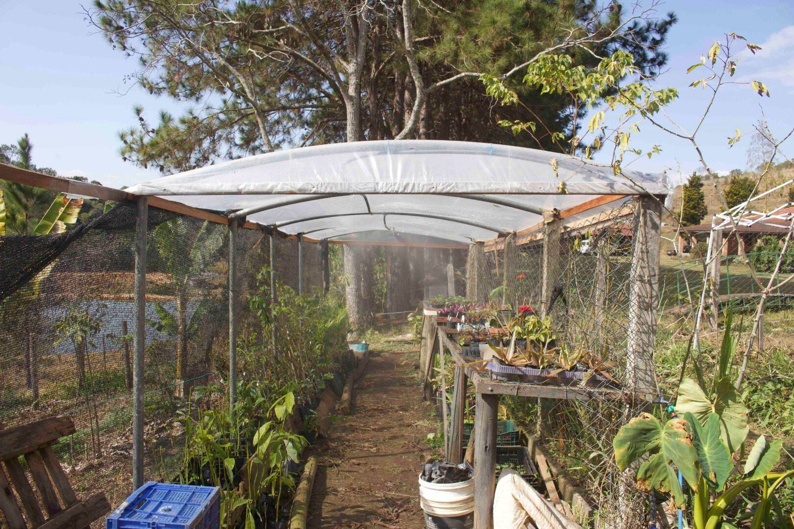 Sítio, 19 quartos, 9 hectares - Foto 209