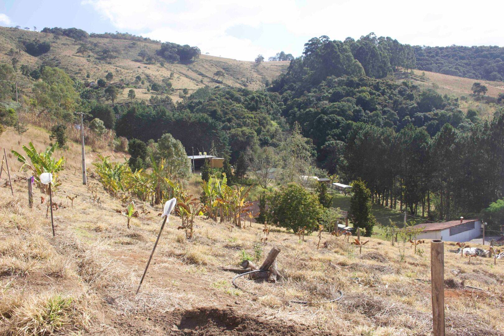 Sítio, 19 quartos, 9 hectares - Foto 214