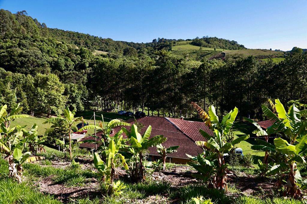 Sítio, 19 quartos, 9 hectares - Foto 248