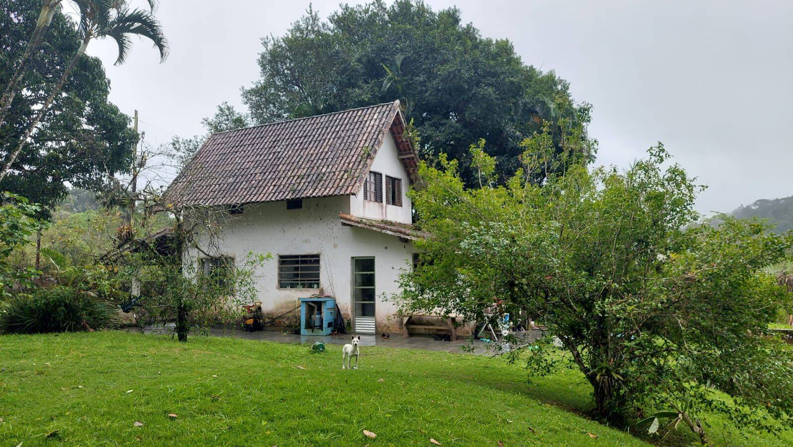 Sítio, 6 quartos, 2 hectares - Foto 2