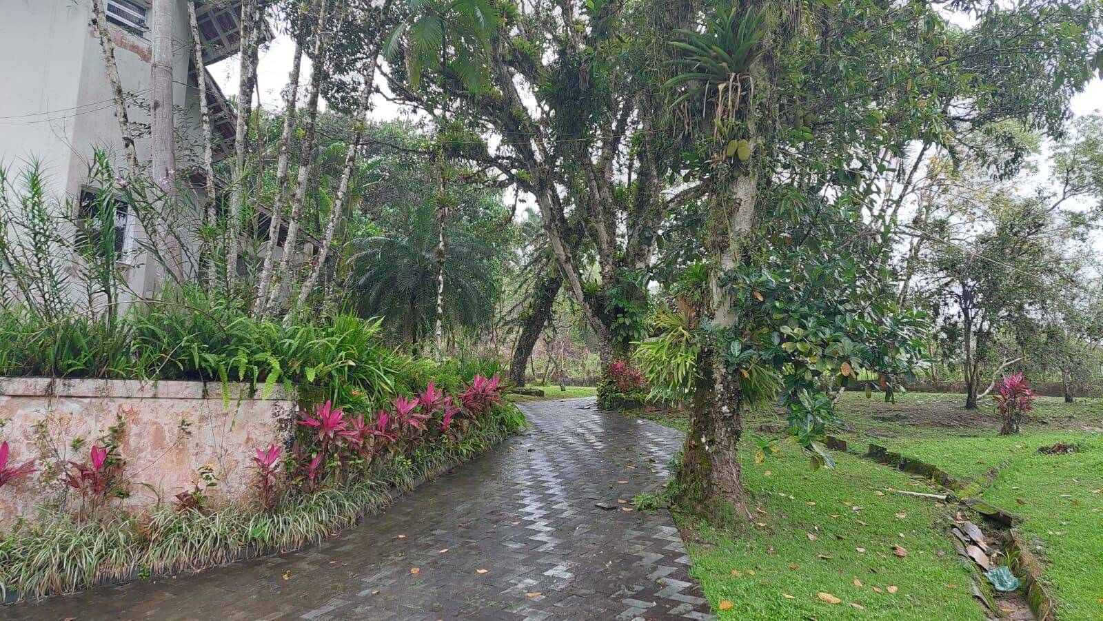 Sítio, 6 quartos, 2 hectares - Foto 4