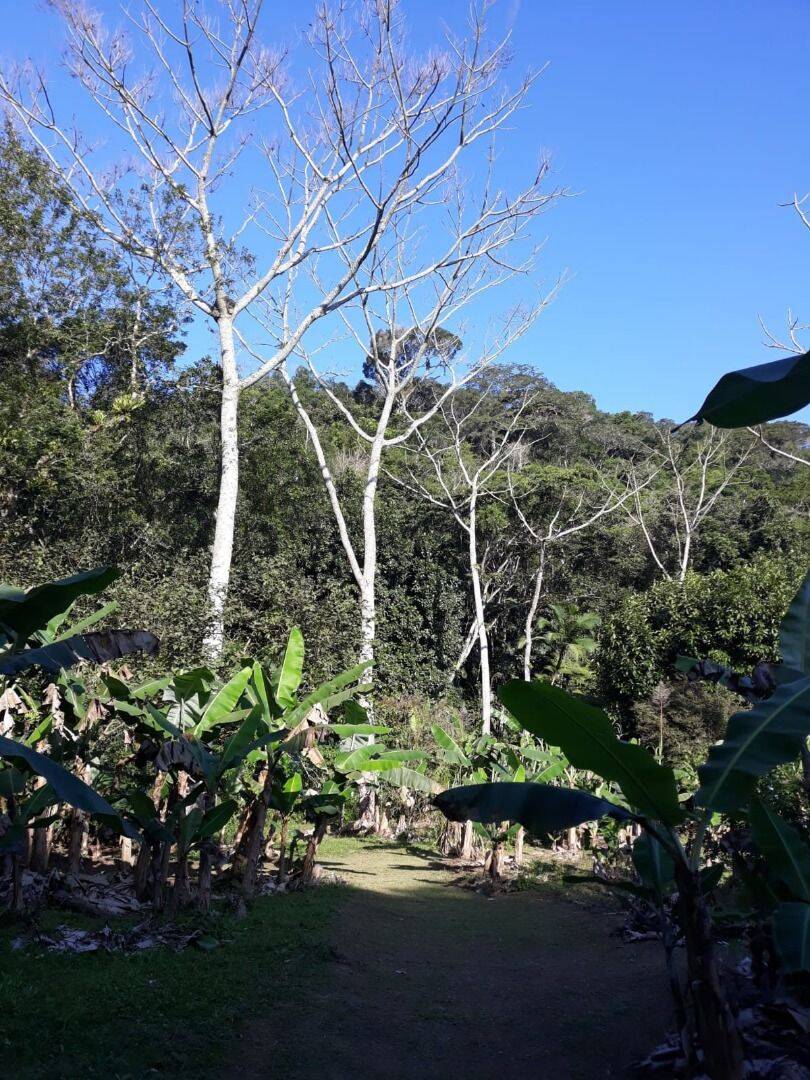 Sítio, 6 quartos, 2 hectares - Foto 20