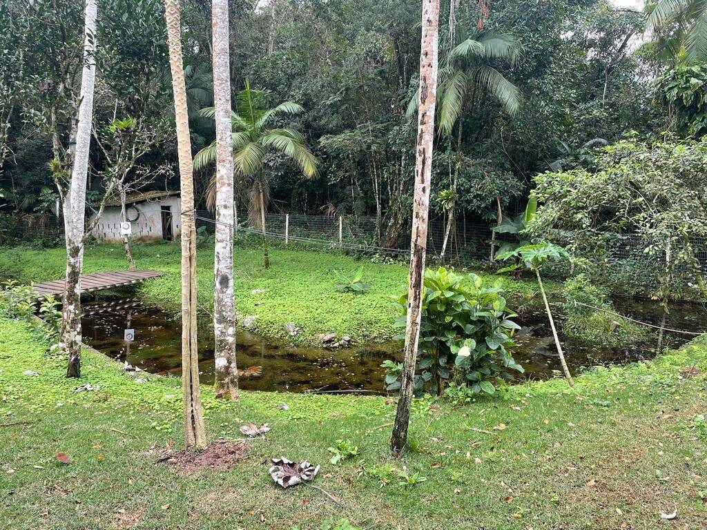 Chácara, 10 quartos, 1500 m² - Foto 4