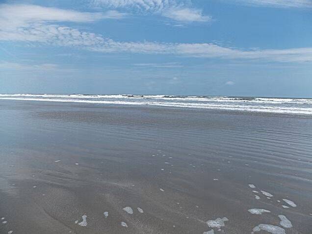 Prédio Inteiro, 1100 m² - Foto 22