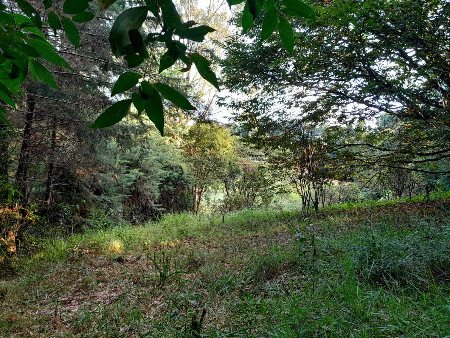 Terreno, 700 m² - Foto 3