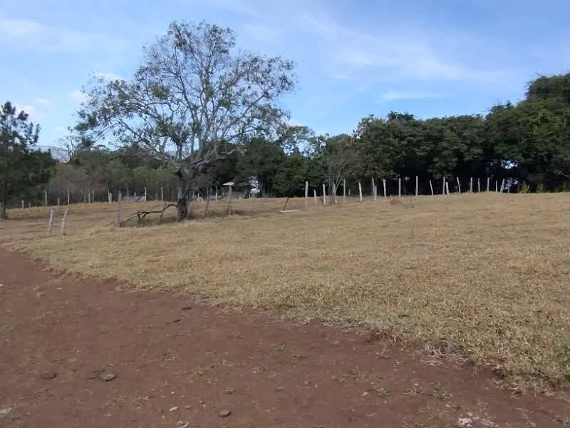 Terreno, 1000 m² - Foto 6