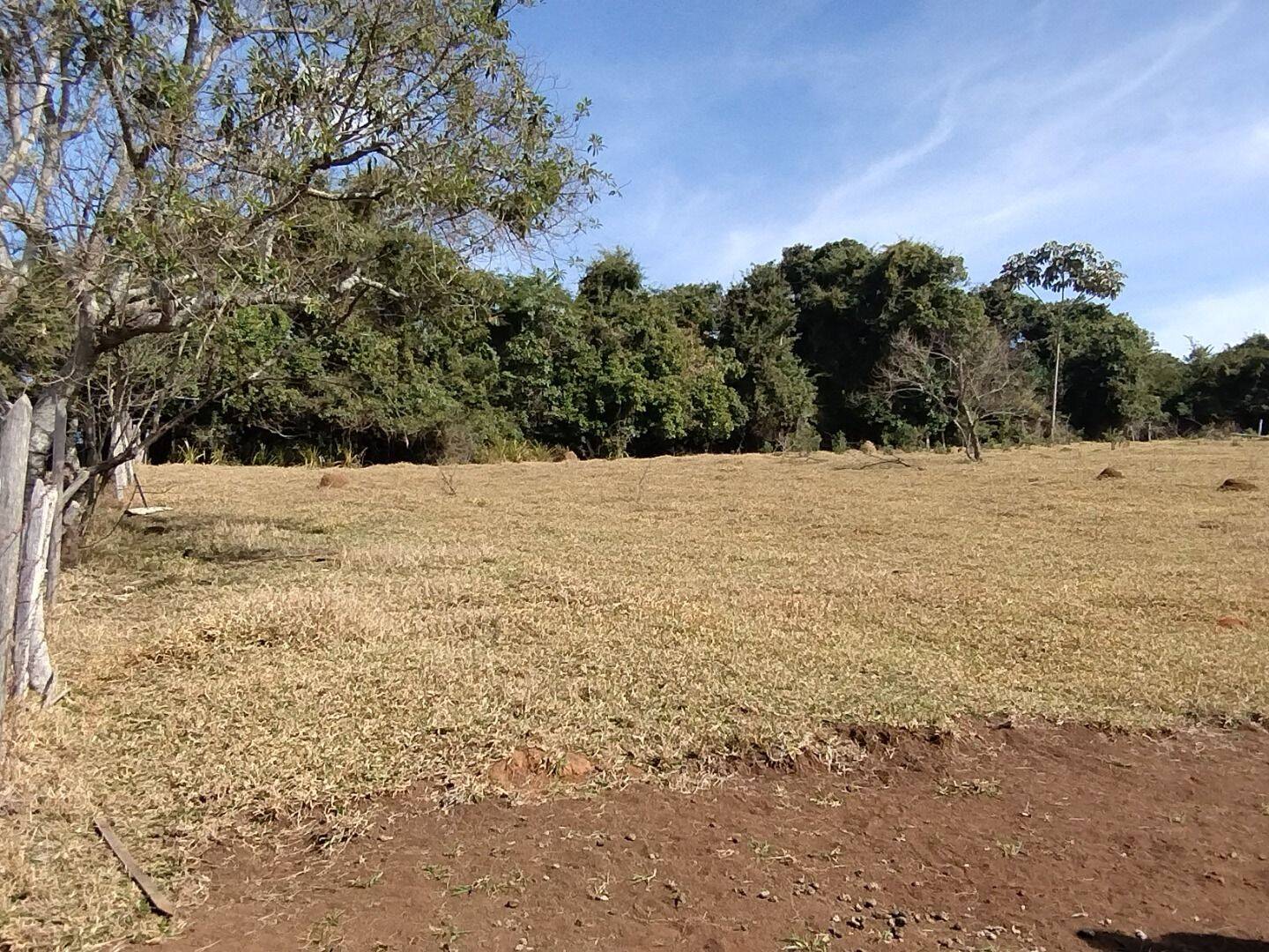 Terreno, 1000 m² - Foto 2