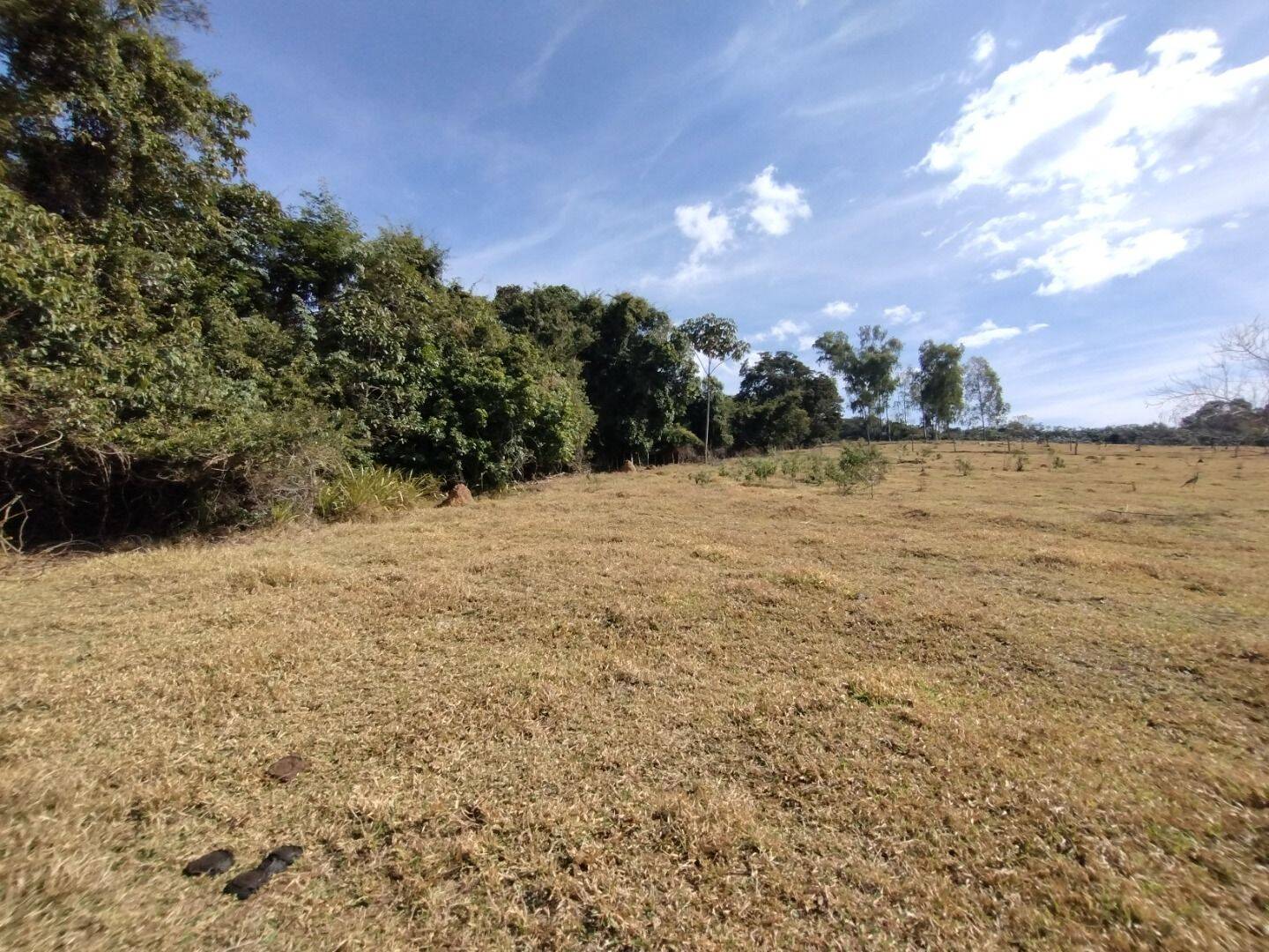 Terreno, 1000 m² - Foto 11