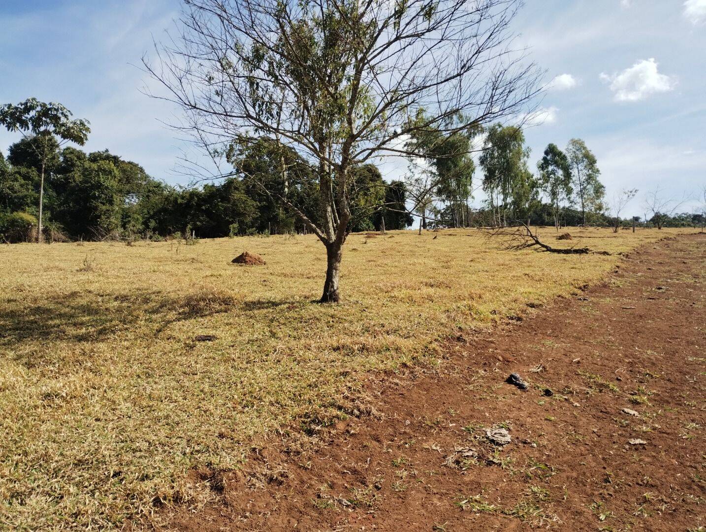 Terreno, 1000 m² - Foto 13