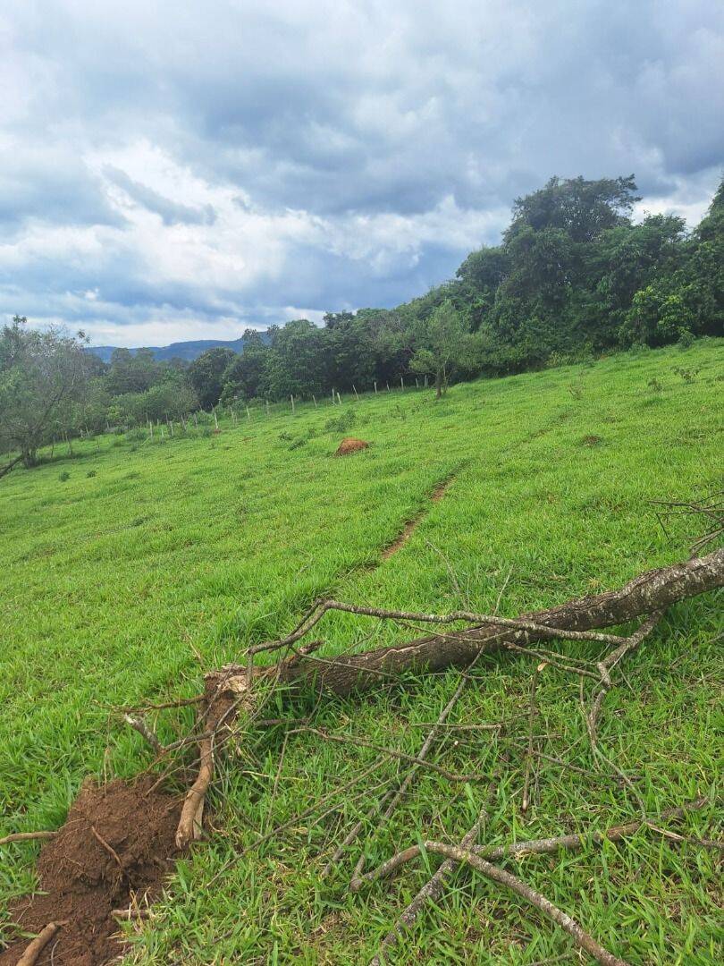 Terreno, 1000 m² - Foto 14