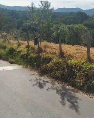 Terreno, 1200 m² - Foto 1